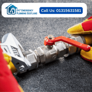 toilet repair near me